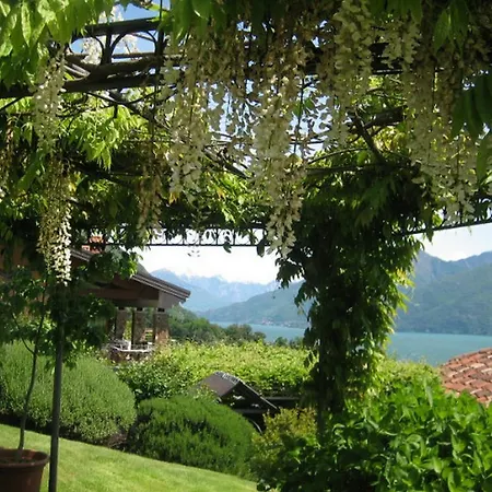 Wisteria Vila