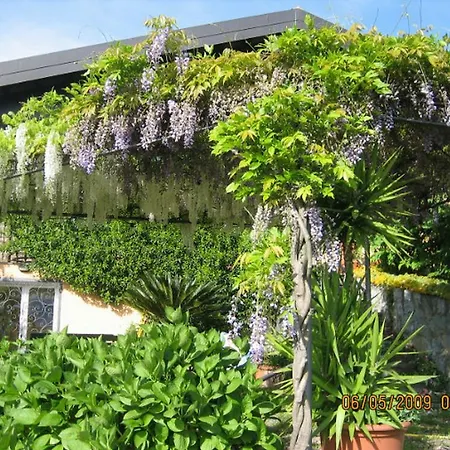 Wisteria Menaggio