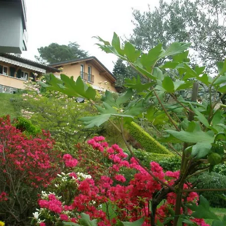 Vila Wisteria *