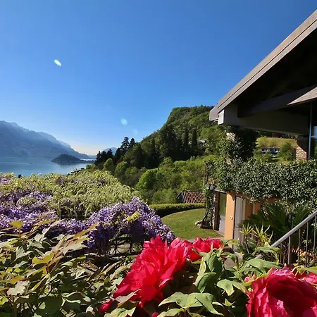 Vila Wisteria
