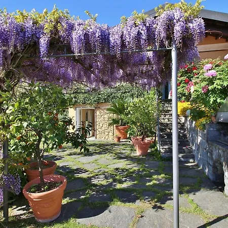 Wisteria Vila