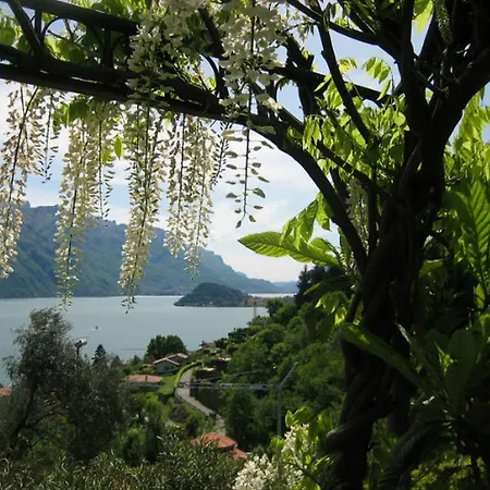 Vila Wisteria